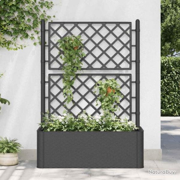 Lit surlev de jardin treillis systme d'arrosage Anthracite alsavelo