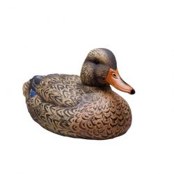 Forme de canard colvert femelle ultra HD insubmersible Stepland