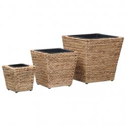 Lits surélevés 3 pcs Jacinthe d'eau alsavelo