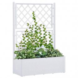 Lit surélevé de jardin et treillis et système d'arrosage Blanc alsavelo
