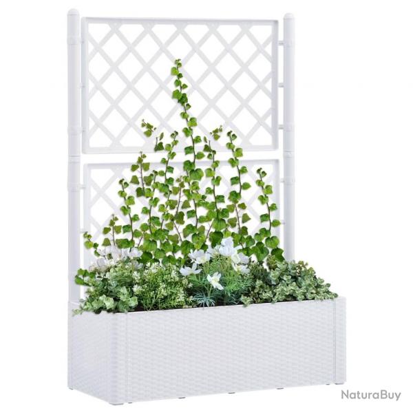 Lit surlev de jardin et treillis et systme d'arrosage Blanc alsavelo