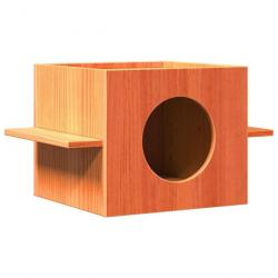 Maison pour chat cire marron 51x35x30 cm bois de pin massif alsavelo