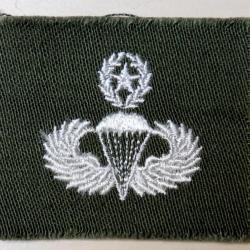 USA authentique collar patch Master Parachutist Badge olive/drab 40/60 pour collection Ne pas porter