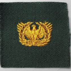 USA authentique collar patch warrant officer olive/drab 40/60 pour collection Ne pas porter