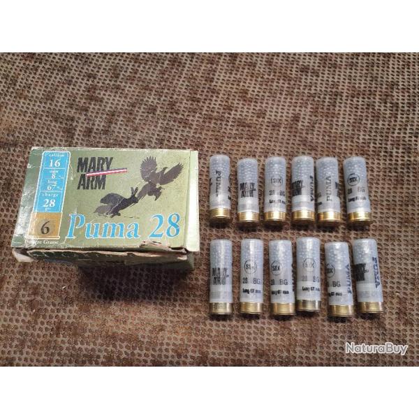 lot de 37 cartouches MARY ARM calibre 16/67 modle PUMA 28 BG  28 g de plomb N6