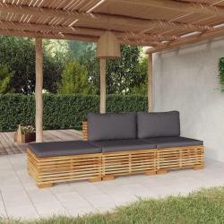 Salon de jardin 3 pcs avec coussins Bois de teck solide alsavelo