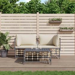 Salon de jardin 3 pcs avec coussins anthracite résine tressée alsavelo