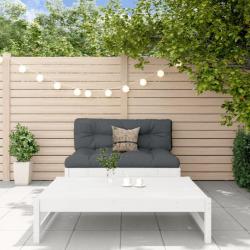 Salon de jardin 2 pcs avec coussins blanc bois massif alsavelo