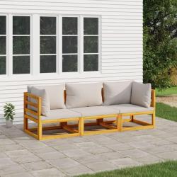 Salon de jardin 3 pcs avec coussins gris clair bois massif alsavelo
