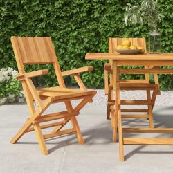 Chaises de jardin pliantes lot de 2 55x61x90cm bois massif teck alsavelo
