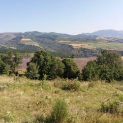 sejour de chasse en moyenne montagne