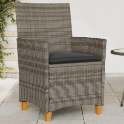 Chaises de jardin coussins lot de 2 gris résine tressée et bois alsavelo