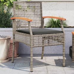Chaises de jardin coussins lot de 2 gris résine tressée acacia alsavelo