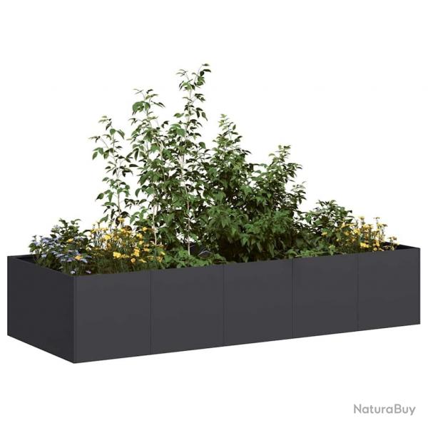Jardinire noir 200x80x40 cm acier alsavelo