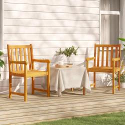Chaises de jardin lot de 2 Bois d'acacia solide alsavelo