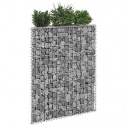 Lit surélevé à gabion en trapèze Acier galvanisé 80x20x100 cm alsavelo