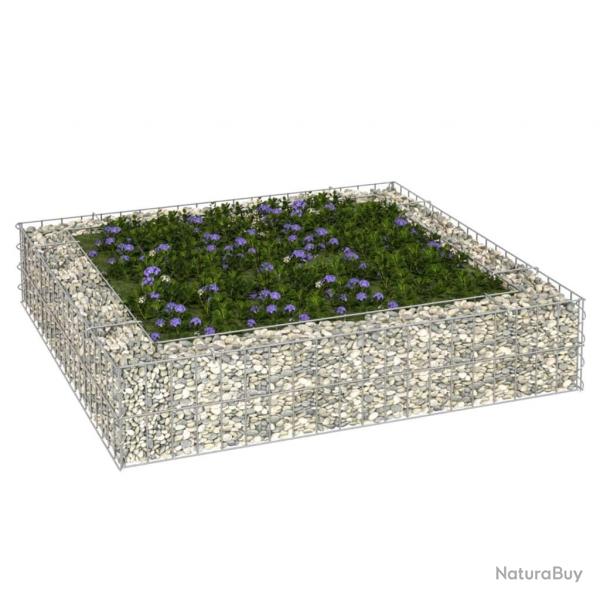 Lit surlev  gabion Acier galvanis 100x100x20 cm alsavelo