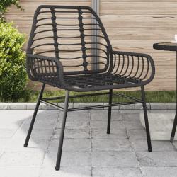 Chaises de jardin lot de 2 Noir Résine tressée alsavelo