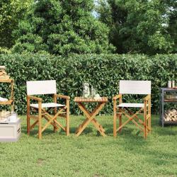 Chaises de metteur en scène pliantes lot de 2 Bois teck massif alsavelo