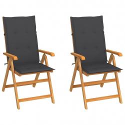 Chaises de jardin lot de 2 et coussins anthracite Bois de teck alsavelo