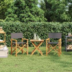 Chaises de metteur en scène pliantes lot de 2 Bois teck massif alsavelo