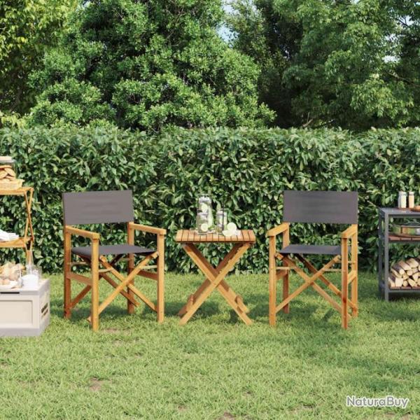 Chaises de metteur en scne pliantes lot de 2 Bois teck massif