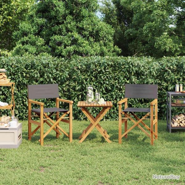 Chaises de metteur en scne pliantes lot de 2 Bois teck massif alsavelo