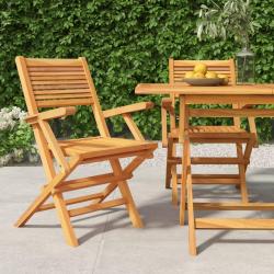 Chaises de jardin pliantes lot de 2 55x62x90cm bois massif teck alsavelo