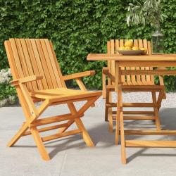 Chaises de jardin pliantes lot de 2 61x67x90cm bois massif teck alsavelo