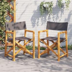 Chaises de réalisateur pliables lot de 2 gris foncé tissu alsavelo