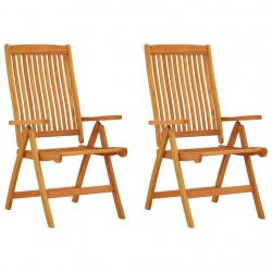 Chaises de jardin pliables lot de 2 Bois d'eucalyptus massif alsavelo