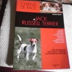 Le JACK RUSSELL TERRIER