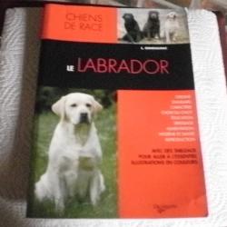 Le LABRADOR