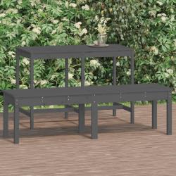 Banc de jardin à 2 places gris 159,5x44x45cm bois massif de pin alsavelo