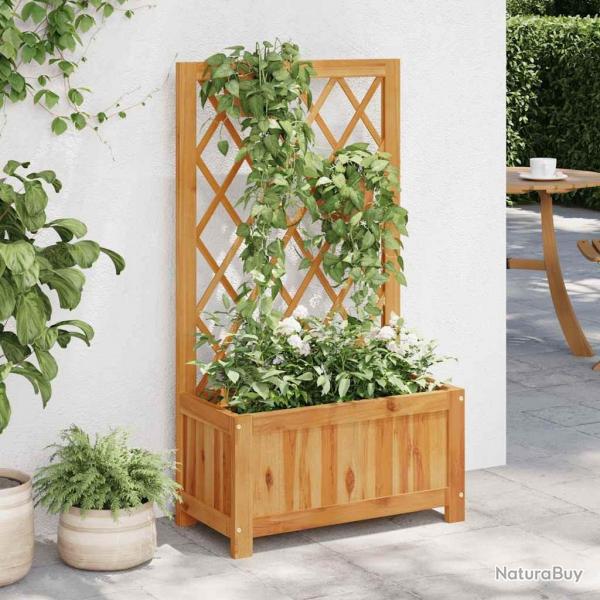 Lit surlev de jardin avec treillis Bois massif d'acacia alsavelo