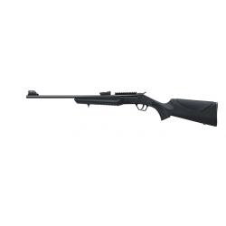 Carabine Rossi .22lr Montenegro