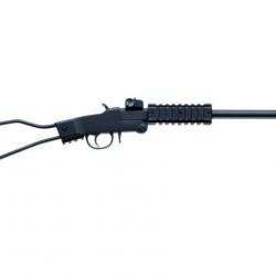 Carabine 22LR pliante Chiappa Little Badger