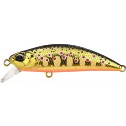 RYUKI 50 SK SPEARHEAD - ASAZ443 GOLD FARIO (UF)