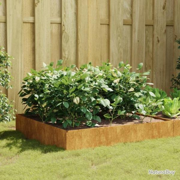 Lit surlev de jardin 100x100x33,5 cm acier corten