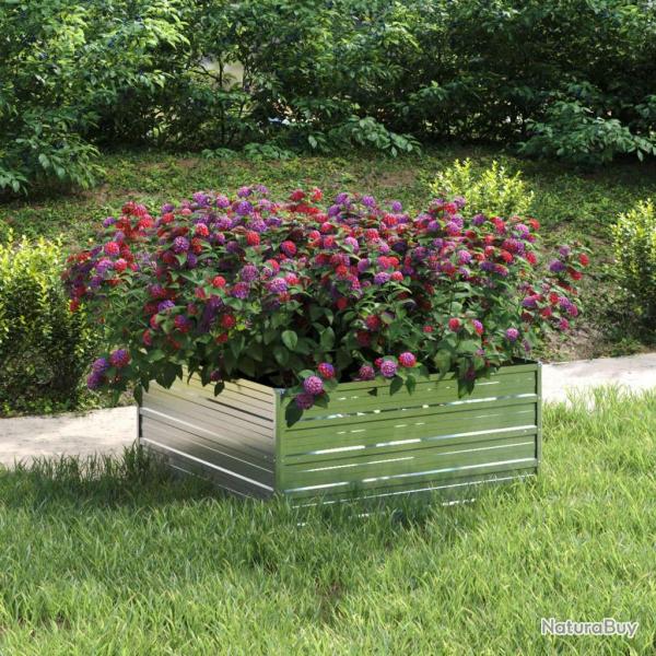 Lit surlev de jardin 100x100x45 cm Acier galvanis Argent alsavelo