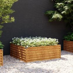 Lit surélevé de jardin 100x100x36 cm acier corten alsavelo
