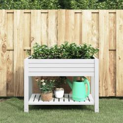 Lit surélevé de jardin blanc 110x45x79 cm polypropylène alsavelo