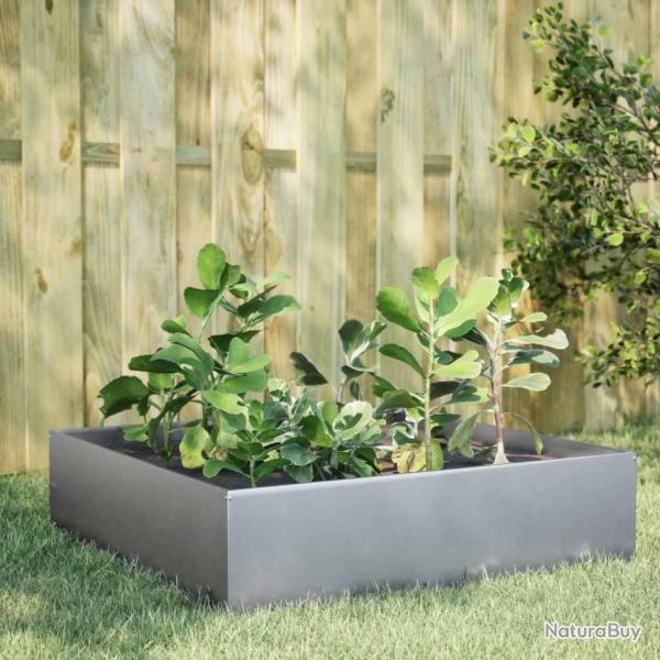 Lit surlev de jardin 100x100x25 cm acier inoxydable alsavelo