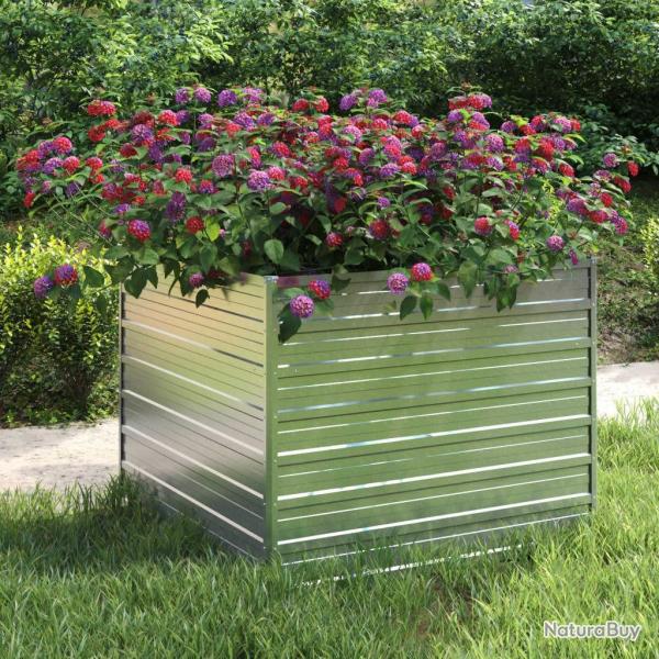 Lit surlev de jardin 100x100x77 cm Acier galvanis Argent alsavelo