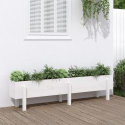 Lit surélevé de jardin blanc 160x30x38 cm bois de pin massif alsavelo