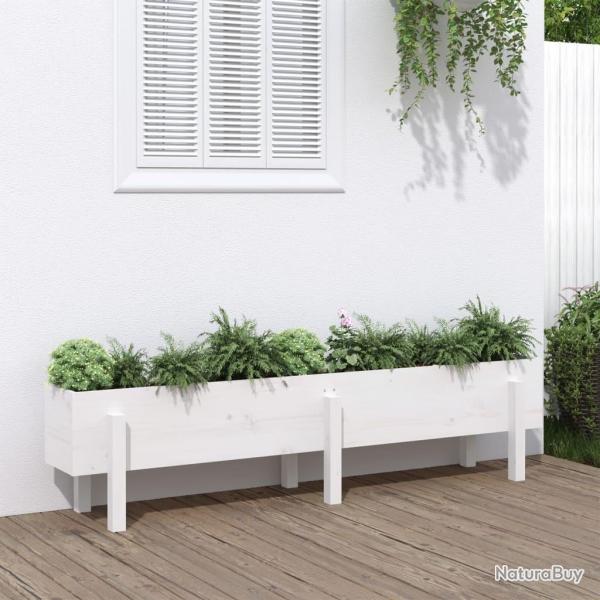 Lit surlev de jardin blanc 160x30x38 cm bois de pin massif alsavelo