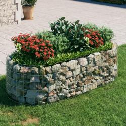 Lit surélevé à gabion Fer galvanisé 200x100x50 cm alsavelo