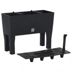 Lit surélevé de jardin Anthracite 60x25x46 cm PP Rotin alsavelo