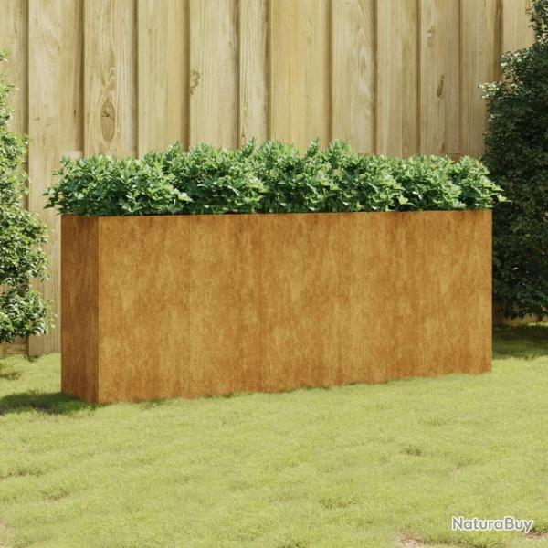 Lit surlev de jardin 200x40x80 cm acier corten alsavelo