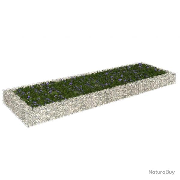 Lit surlev  gabion Acier galvanis 300x100x20 cm alsavelo